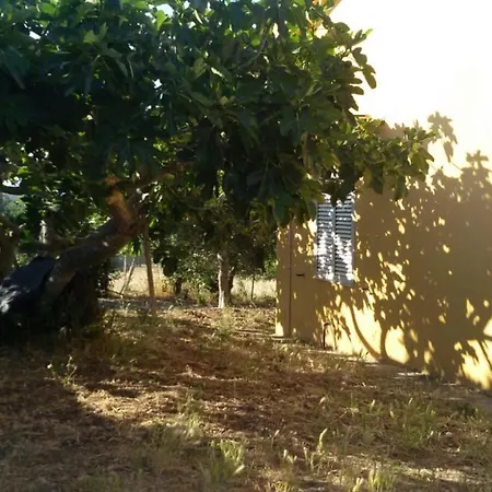 בית נופש Matilda's House *